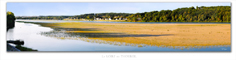 Photo de la loire: Le Thoureil